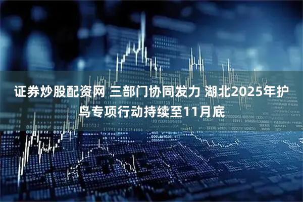 证券炒股配资网 三部门协同发力 湖北2025年护鸟专项行动持续至11月底